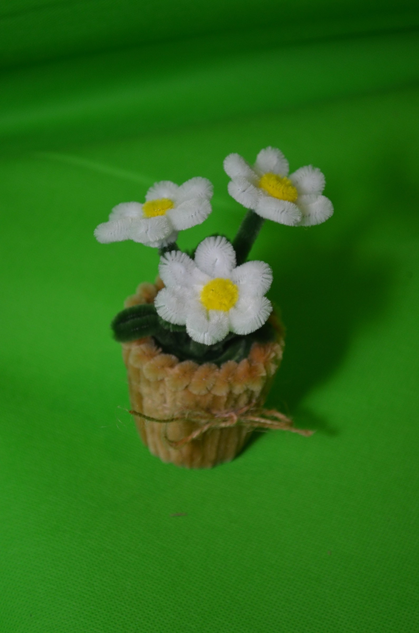 Margeriten-Mix im Körbchen