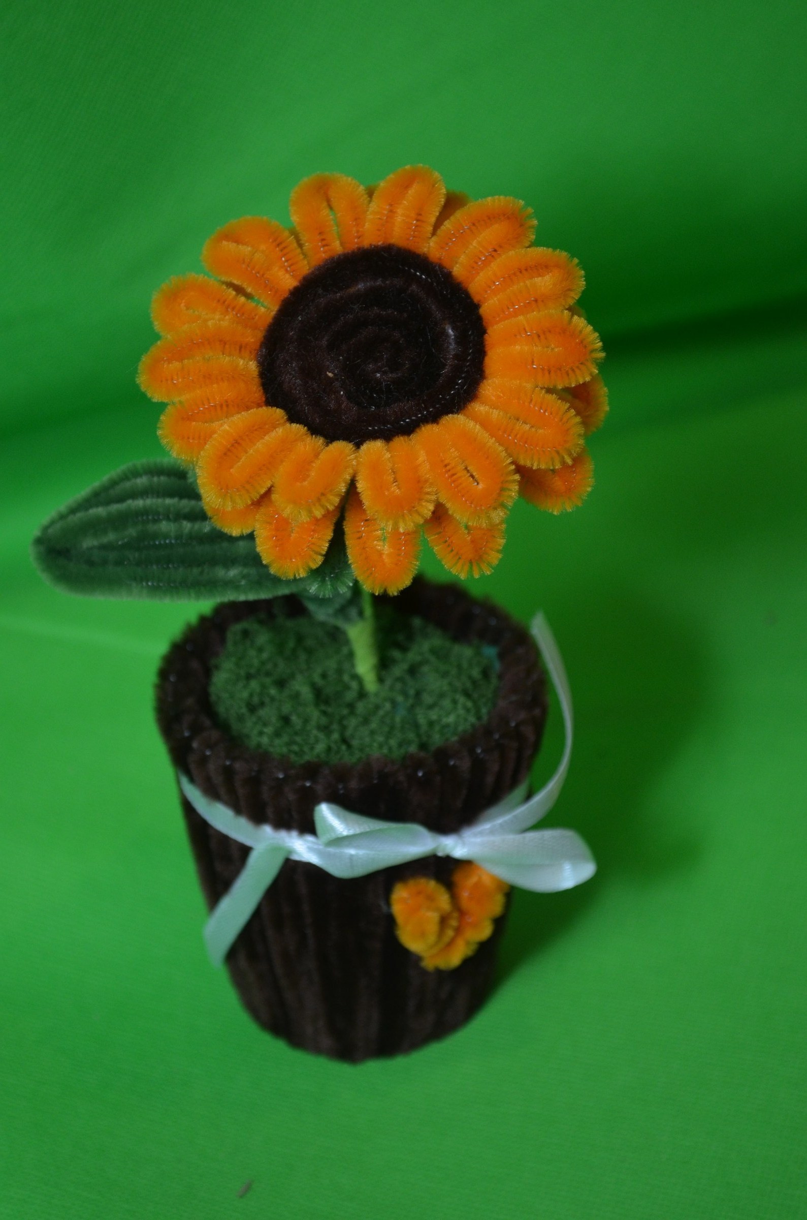 Sonnenblume im Blumentopf