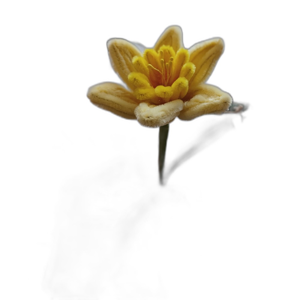 Gelbe Narzisse – Einzelblüte