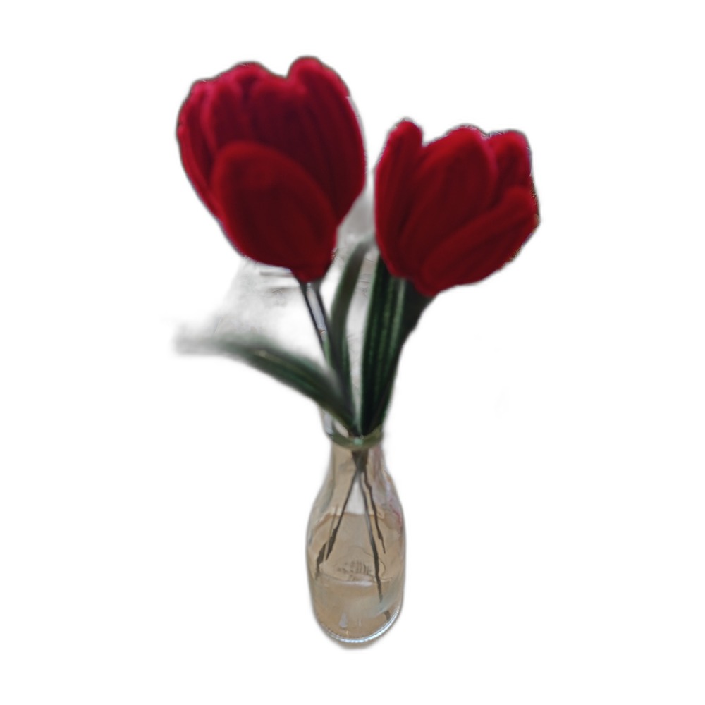 Rote Tulpen im 2er Set – Glasvase
