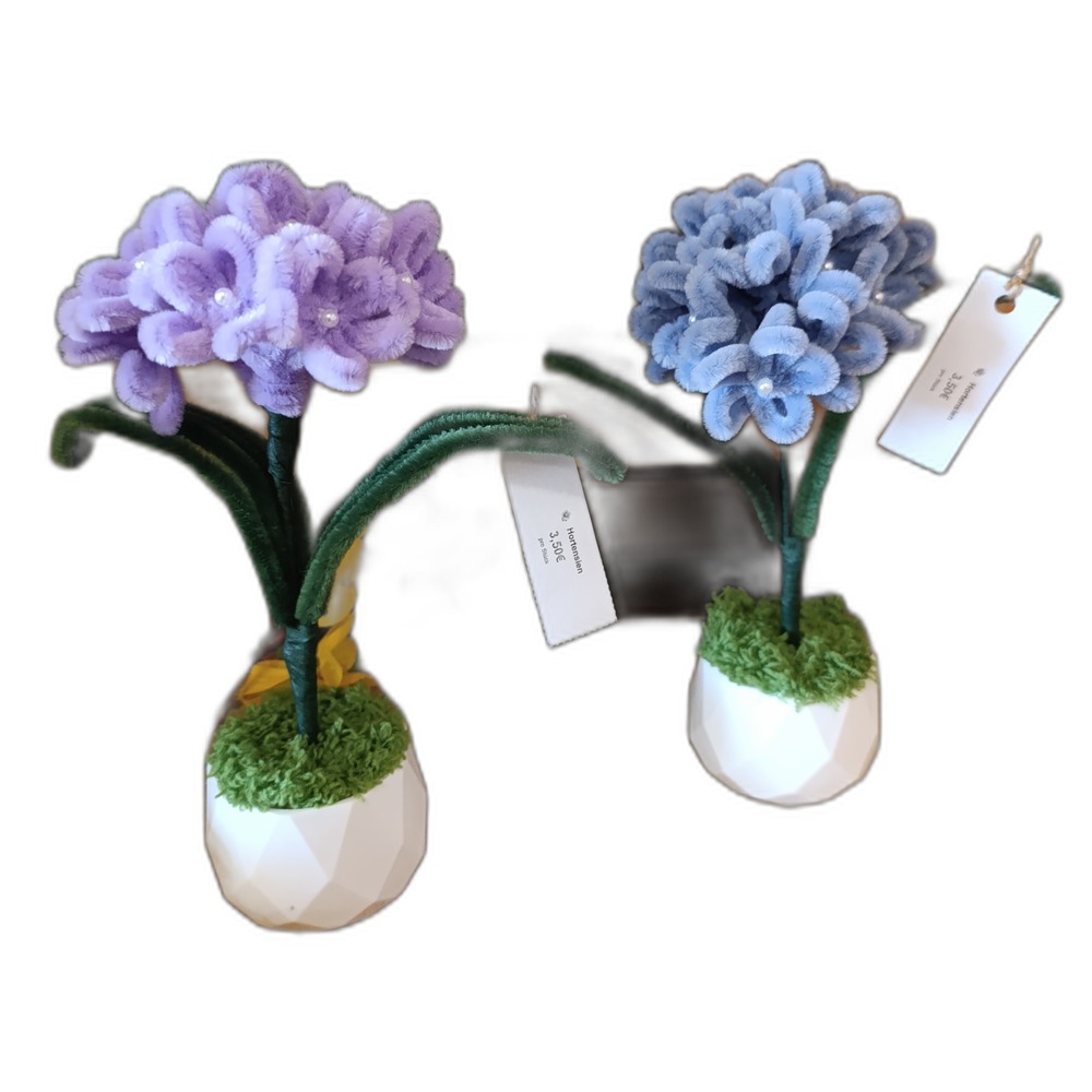 Hortensien Paar – Lila & Blau im Blumentopf