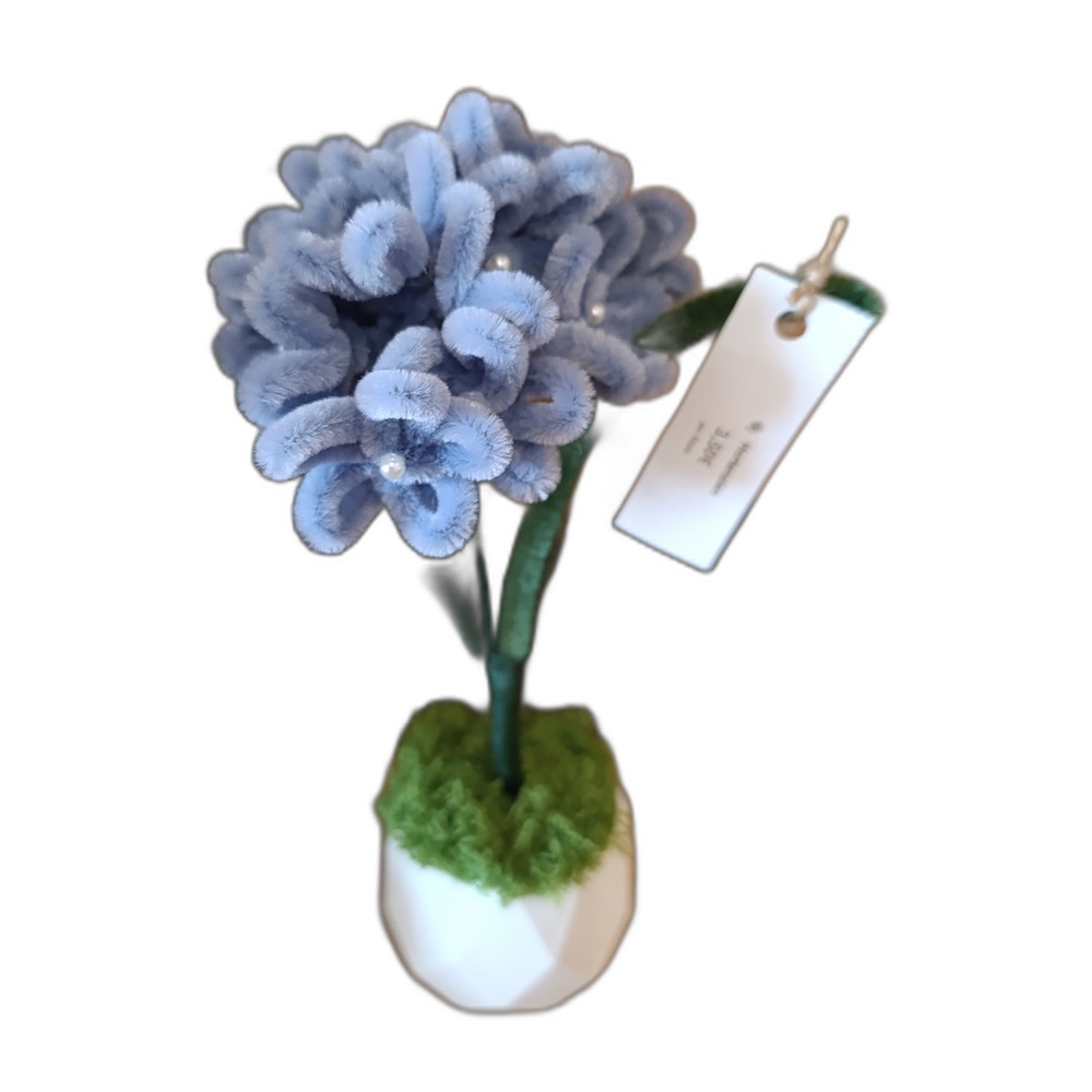 Hortensie Blau im Blumentopf