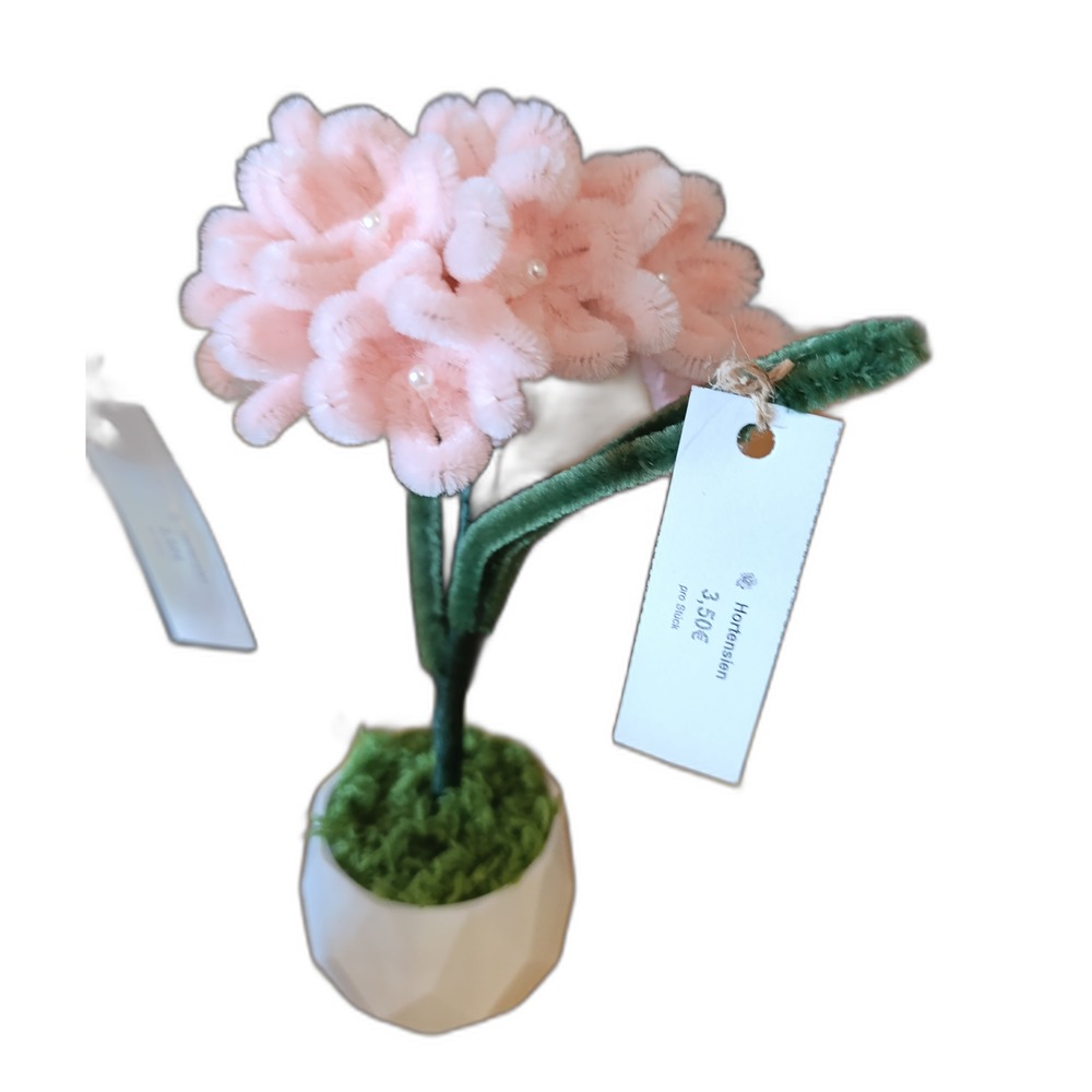 Hortensie Rosa im Blumentopf