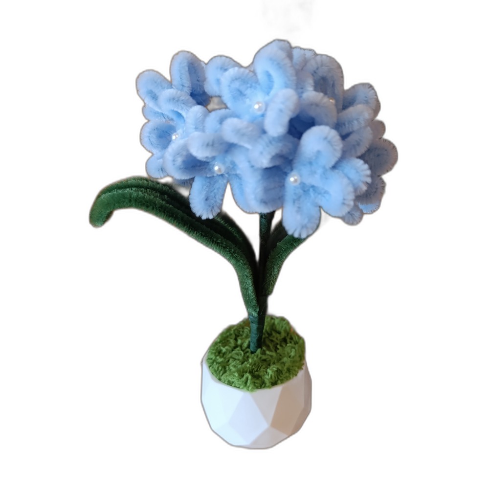 Hortensie Blau – große Blüte im Blumentopf